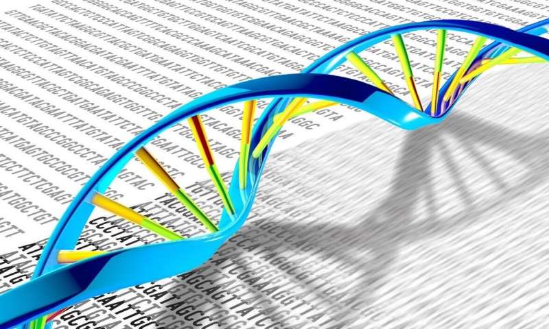 科学家发现了DNA复制的关键质量控制机制